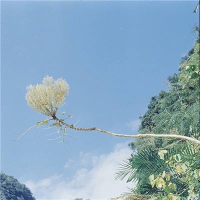 pg麻将胡了网站