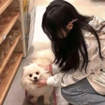 6566体育下载手机版